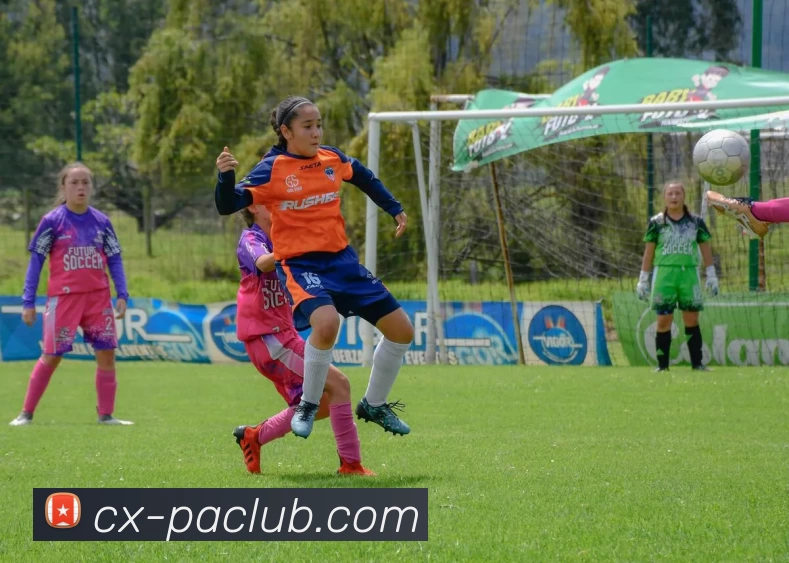 PA官方入口APP 封面图